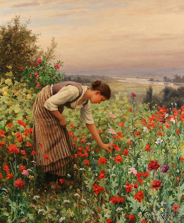 Daniel Ridgeway Knight Girl Picking Poppies Sweden oil painting art